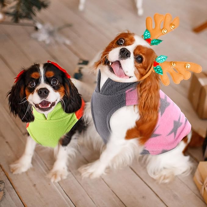 Reginary 10 Pack Dog Sweaters Fleece Pet Dog Clothes with Leash Ring Soft Warm Winter Puppy Plaid Shirt(Large ，Bright)