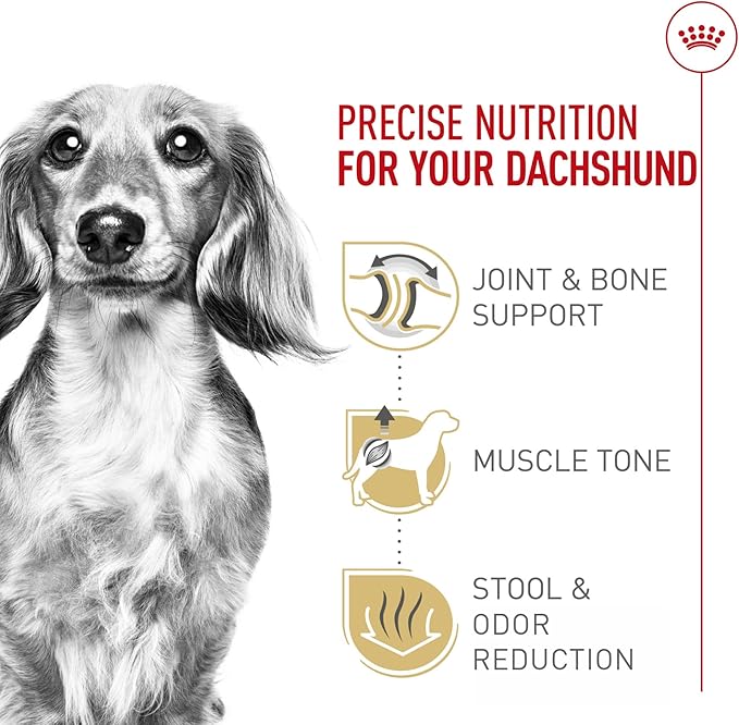 Royal Canin Dachshund Adult Breed Specific Dry Dog Food, 10 Lb bag