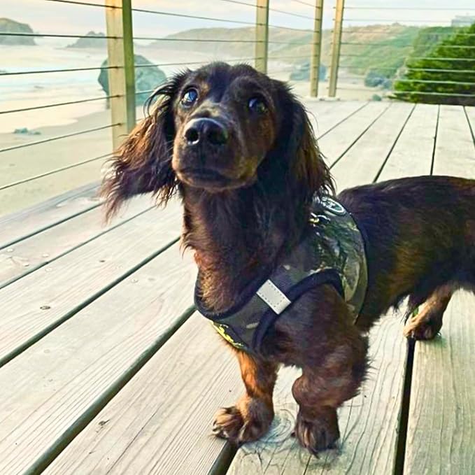 EcoBark Step in Dog Harness - Eco-Friendly Dog Harnesses for Small and Medium Breed Dogs - Reflective and Adjustable Body Halter Vest - Soft Mesh Toy Breed Harness (Camo, Large)