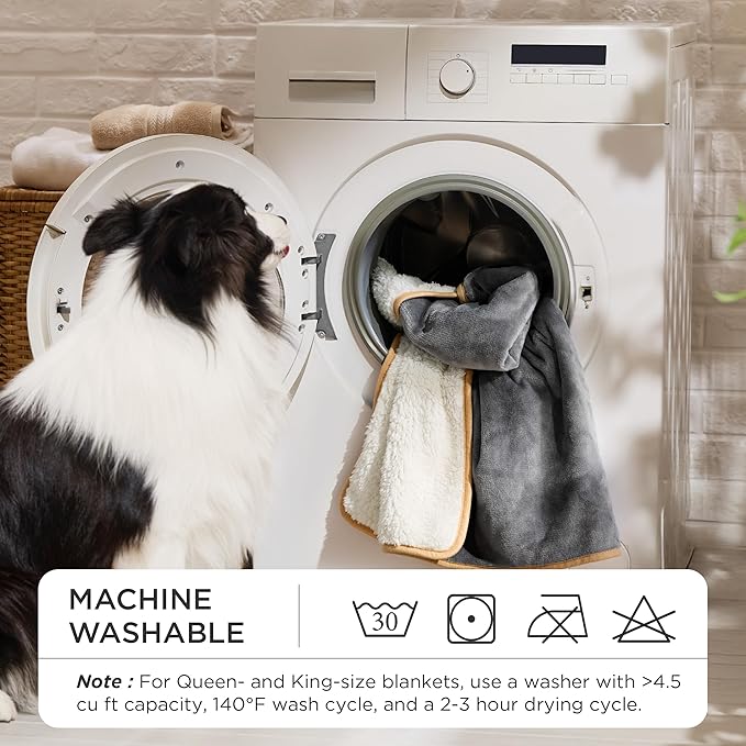 Bedsure Waterproof Dog Blankets for Small Dogs - Small Cat Blanket Washable for Couch Protection, Sherpa Fleece Puppy Blanket, Soft Plush Reversible Throw Furniture Protector, 25"X35", Light Grey