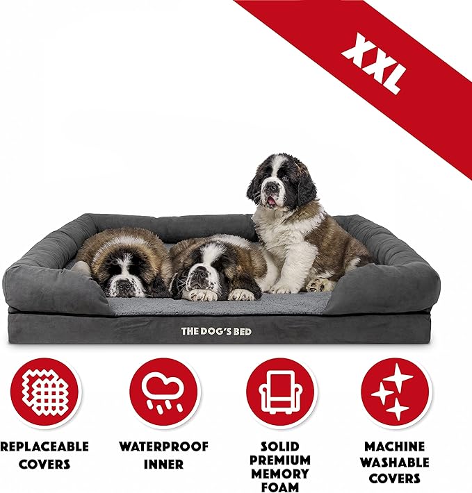 The Dog’s Bed Medium Support Memory Foam Dog Bed XXL Plush Grey, Pain Relief: Arthritis, Hip & Elbow Dysplasia, Supportive, Calming, Waterproof Washable Cover