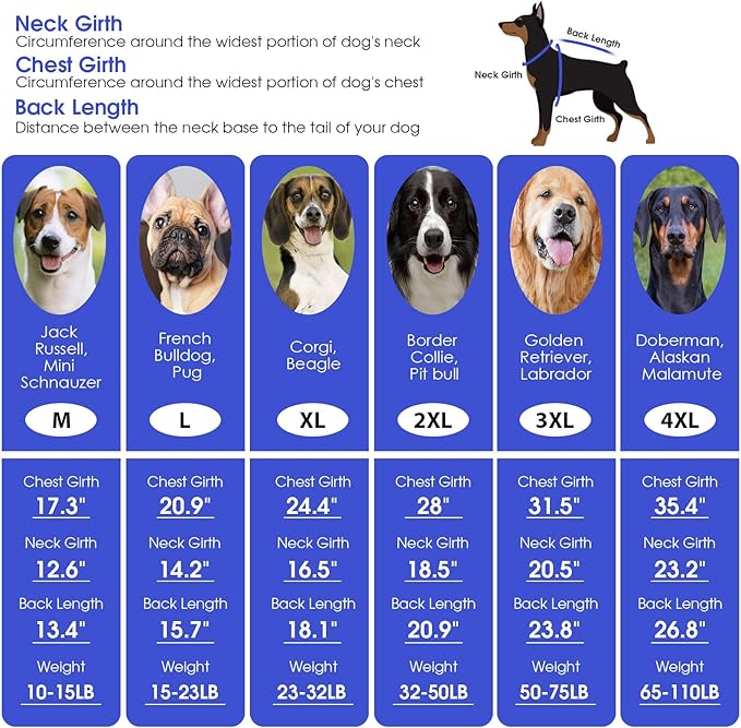 ASENKU Dog Sweater for Medium Dog Girls Boys, Fall Winter Turtleneck Long Sleeve Pet Christmas Sweater, Pullover Sweatshirt for Dachshund, Westie (Grey, M)