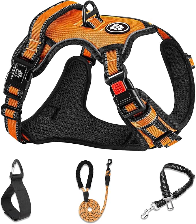 NESTROAD No Pull Dog Harness,Adjustable Oxford Dog Vest Harness with Leash,Reflective No-Choke Pet Harness with Easy Control Soft Handle for Small Medium Dogs(Medium,Orange)
