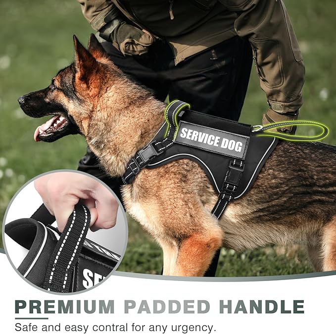 WINSEE Tactical Dog Harness, No Pull Dog Harness for Medium Large Dogs with Handle & Molle, Military Service Dog Vest Harness in Training Pet Harness for Small Dogs