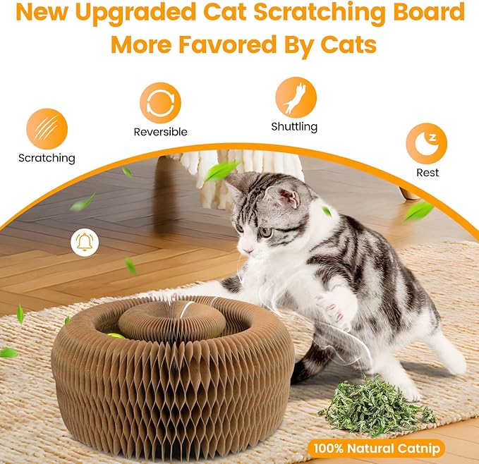 Upgraded Kitty Kurlz Cat Scratcher Board Toy with 2 Balls for Mental & Physical Exercise, Multi-Shape Interactive Cardboard Cat Toy for Indoor Kittens/Cats Infinite-Flip with Fun, Brown/Gray, 1 Pack