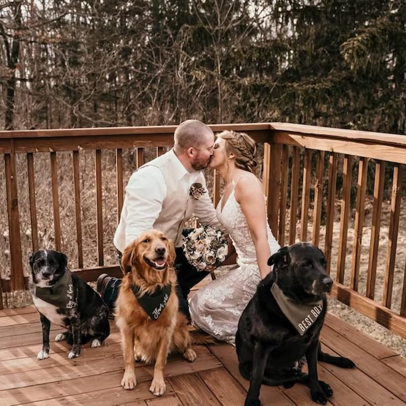 Personalized Dog Bandana Over The Collar Clothes Bandanas Easter For Dogs Spring Birthday Girl Green Boy Plain Large Handkerchief Custom Adopt Me Scarf Size Medium Pet Service Wedding Holiday Big Bro