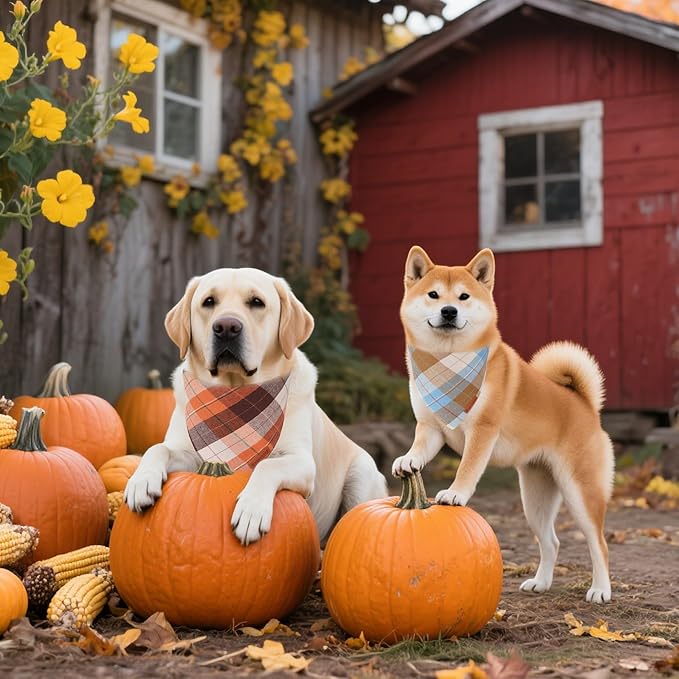 ADOGGYGO 4 Pack Plaid Dog Bandanas Fall Halloween Thanksgiving Christmas, Premium Cotton Fabric, Red Green Orange Blue Plaid Bandanas for Extra Large Dogs (X-Large)