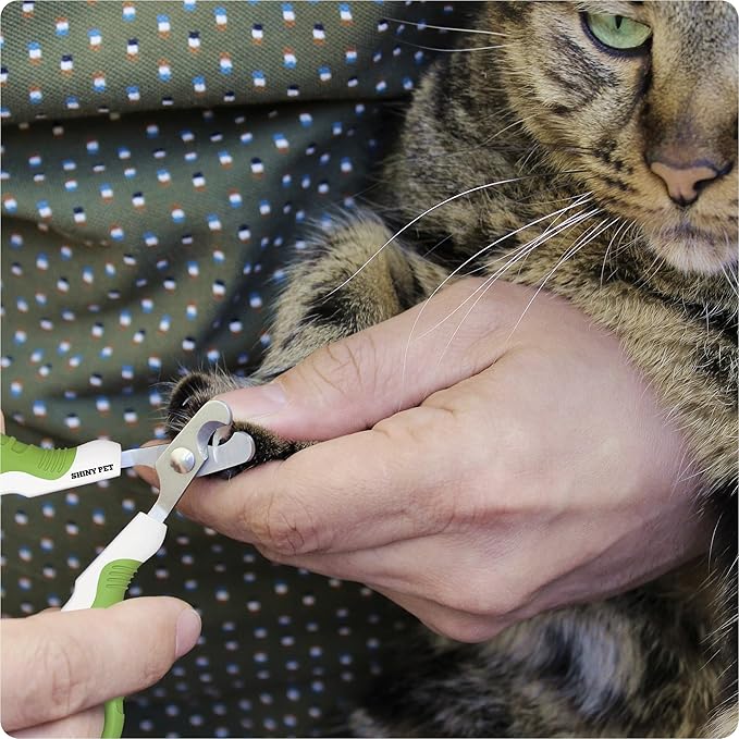 Pet Nail Clippers for Indoor Cats & Small Animals - Precision Angled Blades & Steady Grip - Ideal for Kittens Tiny Dogs Rabbits Birds - Nail Trimmer & Claw Scissors for Home Grooming - eBook Guide