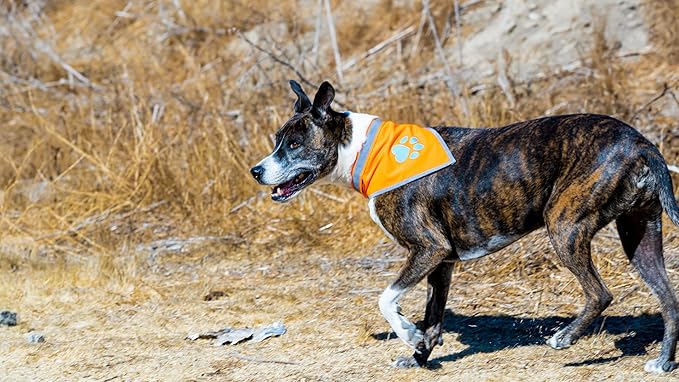 Bandana for Dogs. Blaze Orange Scarf with Reflective Collar is a Perfect Pet Bandana for Girl and Boy Dogs. Enhance Your Dog Walking Accessories with Our High-Visibility Adjustable Dog Handkerchief