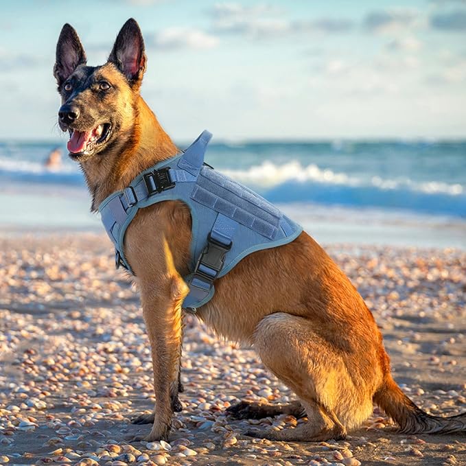 rabbitgoo Tactical Dog Harness Medium Sized, Heavy Duty Pet Harness with Handle, No-Pull Service Vest Medium Breed, Adjustable Military Dog Vest for Training Hunting Walking, Blue, M