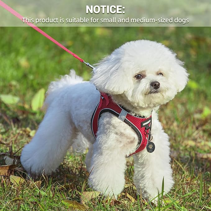 Dog Harness and Leash Set, Dog Harness for Dogs No Pull, No-Chock Step-in Reflective Breathable Lightweight Easy Walk Vest Harnesses with Safety Buckle for Small Medium Dogs, Cats (Red, M)