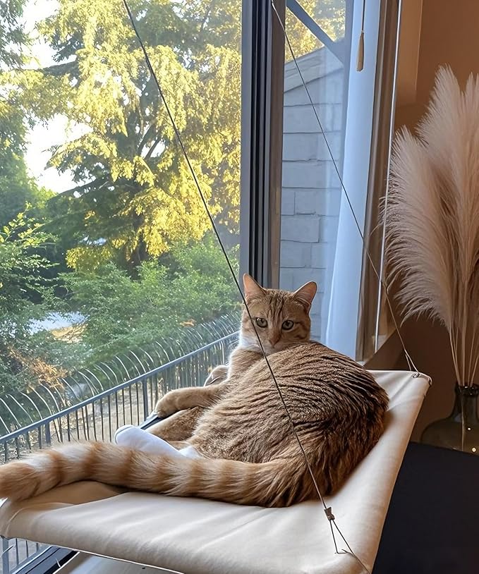 Cats Window Perch, Window cat Bed,Hammock, House, Equipped with Two Powerful Suction Cups, The Load-Bearing Capacity is Stronger, and The cat can Rest Assured to bask in The Sun