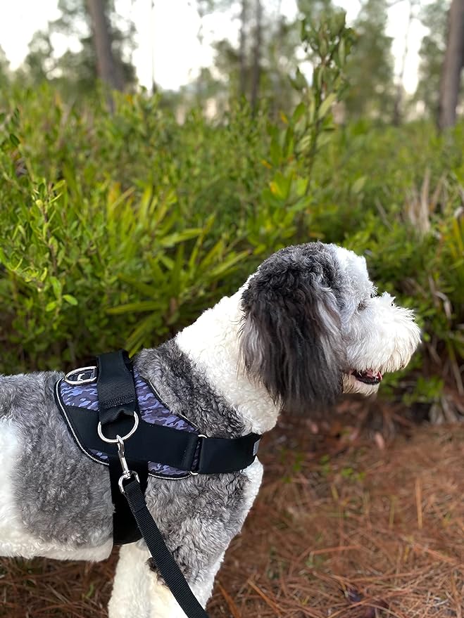 ShawnCo Essential Dog Harness, No-Pull Pet Vest with 3 Leash Clips, No Choke, Reflective, Adjustable and Padded, for Easy Walking and Training for Small, Medium and Large Dogs (Dark Camo, XS)
