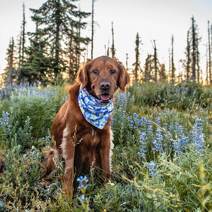 Wilderdog Dog Bandana with Lightweight Quick Drying Poly-Blend Mesh Material in Daisy