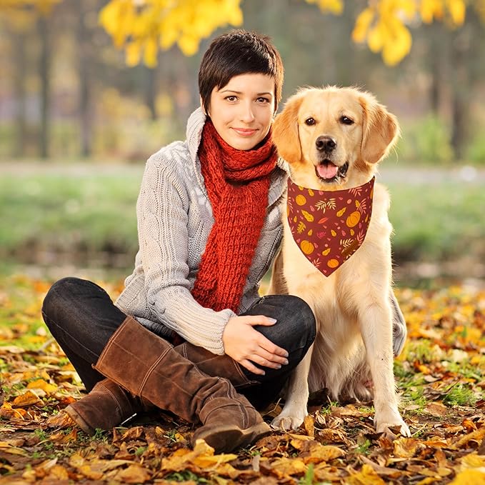 ADOGGYGO Thanksgiving Dog Bandana, Pumpkin Turkey Pet Scarf, Multi Size Offered, Fall Autumn Leaves Thanksgiving Bandanas for Extra Large Dogs Pets (X-Large)
