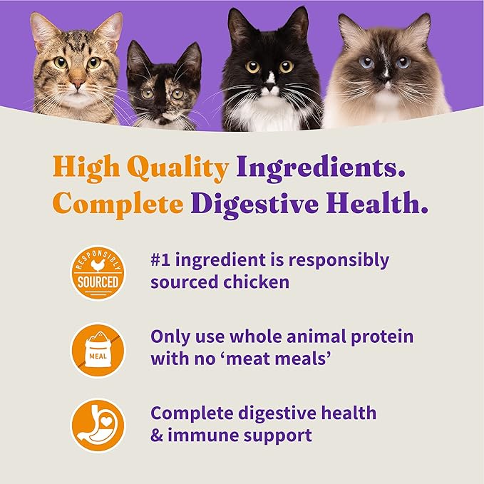 Halo Holistic Cage Free Chicken Cat Food, Grain Free Dry Cat Food, For Healthy Weight Support, Kibble for Indoor Cats, 6 lb Bag