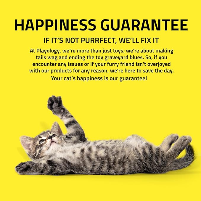 Playology Cat Toys | Interactive Teeter Totter Feather Top Toy for Indoor Cats (Value 2-Pack) | Toy Made from Non Toxic Materials