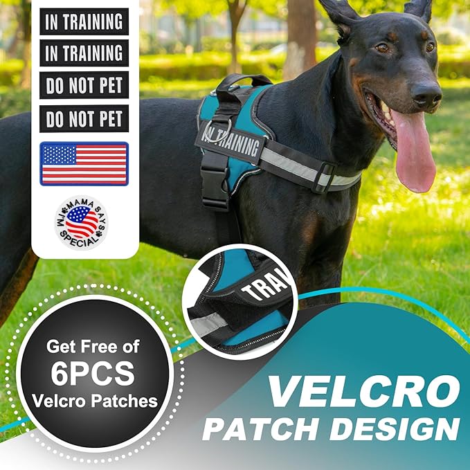 Essential Dog Harness with 3 Leash Clips - No-Pull, Adjustable, Comfortable Pet Vest Harness for Small to Large Dogs - Easy On, No Choke, Reflective, Padded Harness for Walking and Training