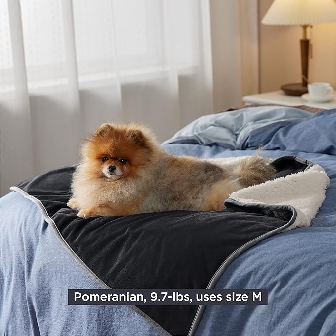 Bedsure Cat Blanket for Indoor Cats - Waterproof Calming Cat Blankets for Couch Protection, Sherpa Fleece Pet Blanket, Soft Plush Reversible Throw Furniture Protector, 40"x30", Black