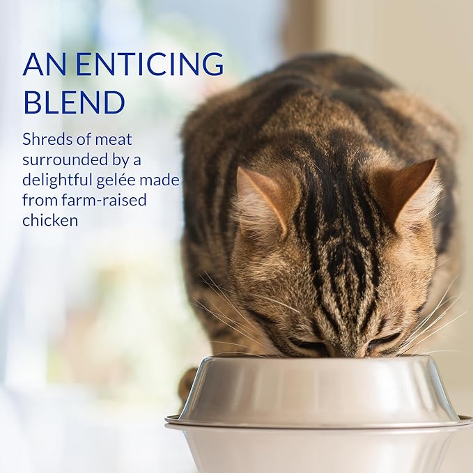 INABA Churu Stew for Cats, Broth Gelée with Shredded Chicken Side Dish with Vitamin E, 1 Ounce per Pouch, 5 Pouches Total, Chicken Variety Pack