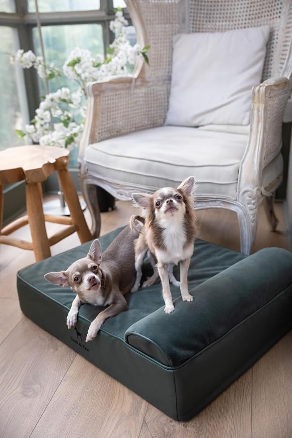 NOAH & PAW Dog Bed, 28x23x7.5 Inch, Orthopedic Dog Beds for Medium Size Pets, Eggshell Memory Foam Infused with Cooling Gel, Waterproof, Machine Washable, Includes Inner Cover (Faux Leather)