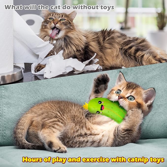 MALLMALL6 Pickle Catnip Cat Toys - 5Pcs Indoor Kitten Chew Bite Kick Cucumber Catmint Interactive Toys for Cat Lover Gifts, Kitty Boredom Relief Supplies with Cute Expression for Pet Birthday Presents