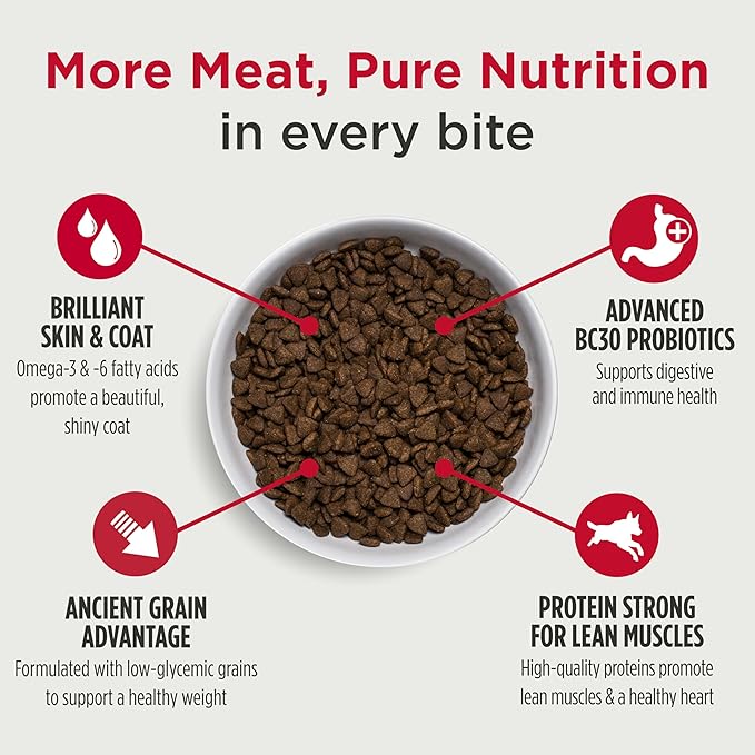 Nulo Frontrunner Ancient Grains High-Protein Dog Food, Pork, Barley, & Beef Recipe- Natural Dry Dog Food with Probiotics, Grain-Inclusive Kibble for Adult Dogs, 5 lb Bag