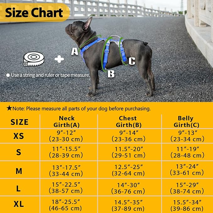 Huntboo Escape Proof Dog Harness, Secure Dog Harness No Escape, Fully Reflective Harness with Handle,Breathable,Durable, Adjustable Vest for Small Dogs Walking, Training,and Running Gear (Sea Blue,S)