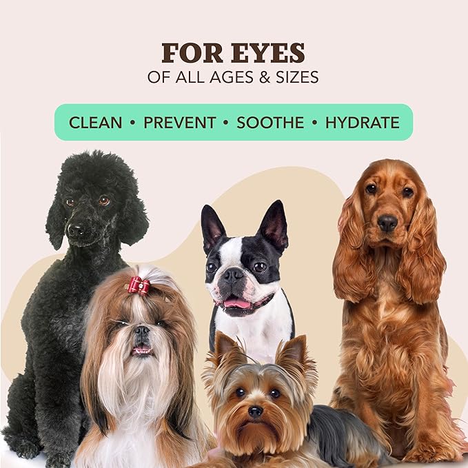 Natural Dog Company XL Grooming Wipes for Dogs – Hypoallergenic, Biodegradable, Fragrance Free – Aloe Vera & Witch Hazel – 7×8 Wipes for Paws, Face, Ears & Butt – Sensitive Skin Pet Wipes - 50 Count