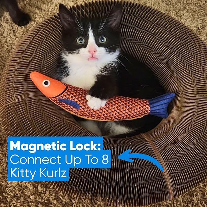 Kitty Kurlz - Kitty Kurlz Magnetic Toy & Reversible Cardboard Scratcher - Collapsible Ball Track with Bell - Durable Eco-Friendly Ring for Play, Chase & Scratch