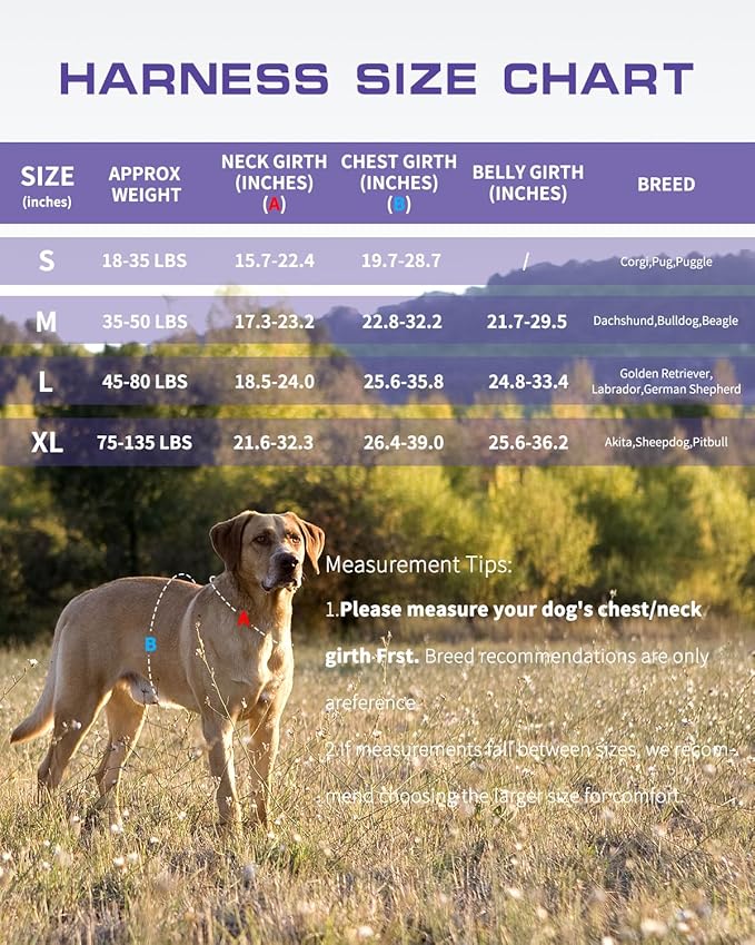 Tactical Dog Harness Medium Sized, Heavy Duty No Pull Dog Harness with Handle, Easy On and Off Service Dog Vest with Molle System, Reflective Pet Vest for Walking Hiking Training