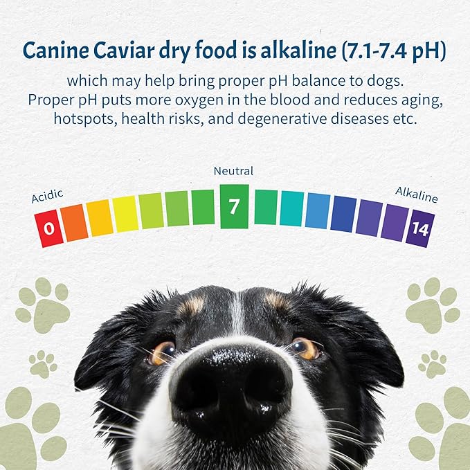 Canine Caviar - Wild Ocean: Herring & Teff Alkaline Dry Dog Food, Limited Ingredients, Gluten-Free, Based on Science & Research, Veterinary Alternative Diet (11 Pound Bag)