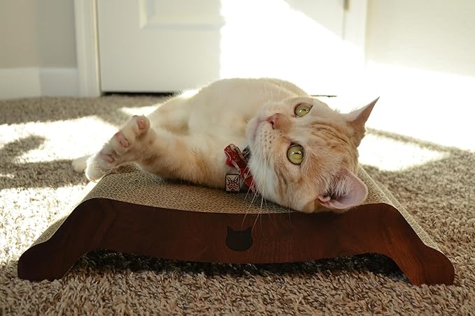 Necoichi Cardboard Cat Scratcher Bed for Indoor Cats - Cat Scratching Board, Horizontal Cat Scratch Pad Lounger with Reversible Usability and Extra Comfort for Lounge, Curved (17" Medium, Dark Cherry)