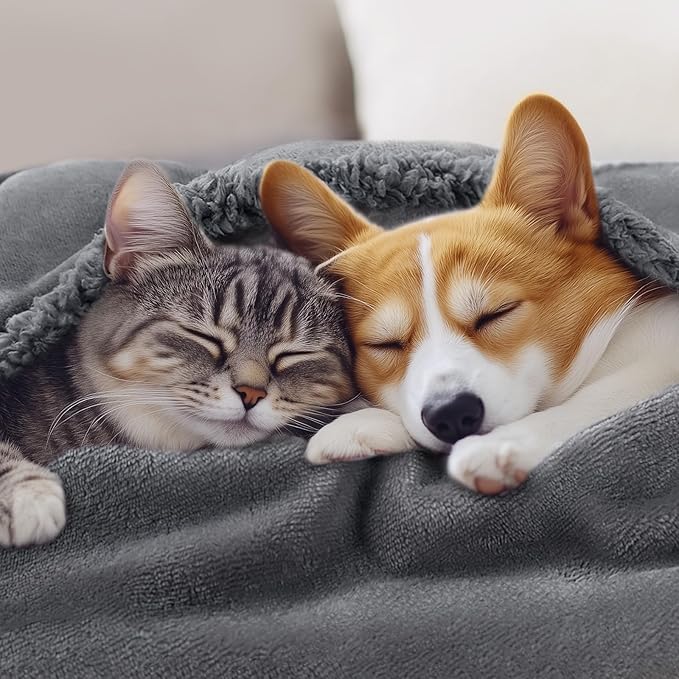 Luciphia Waterproof Blanket for Large Dogs Liquid Proof Furniture Protector Washable Pet Reversible Bed Cover for Couch Soft Sherpa Fleece Cat Blanket for Small Medium Light Grey Medium（57" x 40"）