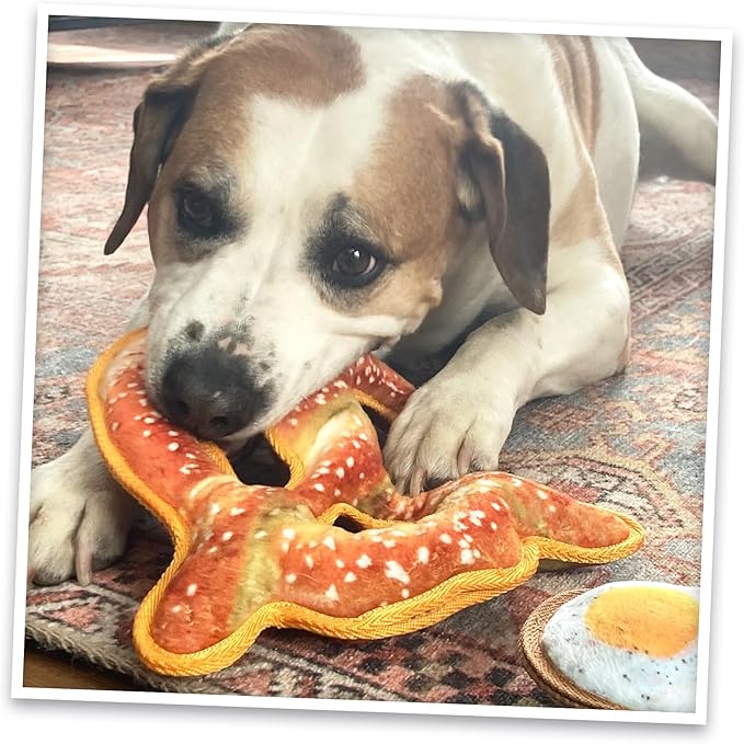 Doggijuana Tuffer Chewer Plush Dog Toy | Funny Dog Toy Plush with Juananip Catnip for Dogs | Calming Aid for Dogs | Interactive Squeaky Chew Toy for Play (Pretzel)