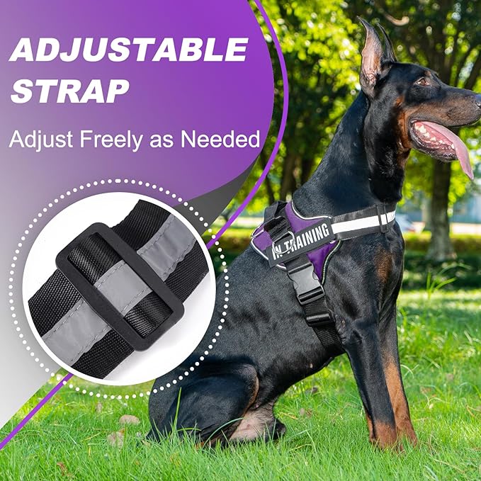 Essential Dog Harness with 3 Leash Clips - No-Pull, Adjustable, Comfortable Pet Vest Harness for Small to Large Dogs - Easy On, No Choke, Reflective, Padded Harness for Walking and Training