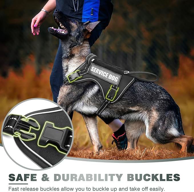 WINSEE Tactical Dog Harness, No Pull Dog Harness for Medium Large Dogs with Handle & Molle, Military Service Dog Vest Harness in Training Pet Harness for Small Dogs