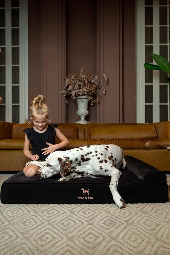 NOAH & PAW XL Dog Bed, 45x35x9.1 Inch, Orthopedic Large Dog Beds, Eggshell Memory Foam Infused with Cooling Gel, Waterproof, Machine Washable, Includes Inner Cover (Denim Collection)