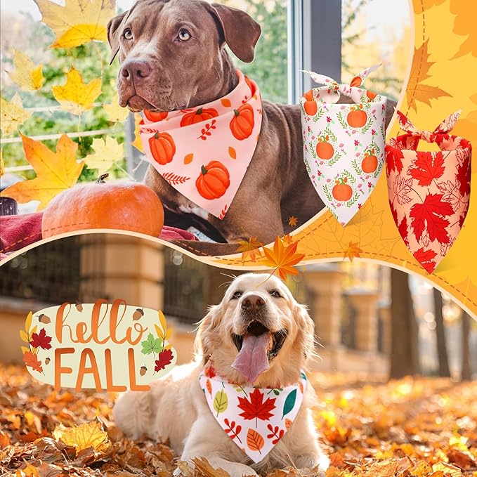 Preboun 50 Pcs Fall Pumpkin Dog Bandana Bulk Maple Leaves Bandana for Dogs Triangle Kerchief Bib Scarf for Small Medium Large Pet Thanksgiving Costume Accessories, 25 Styles (31.5 x 21.7 x 21.7 Inch)