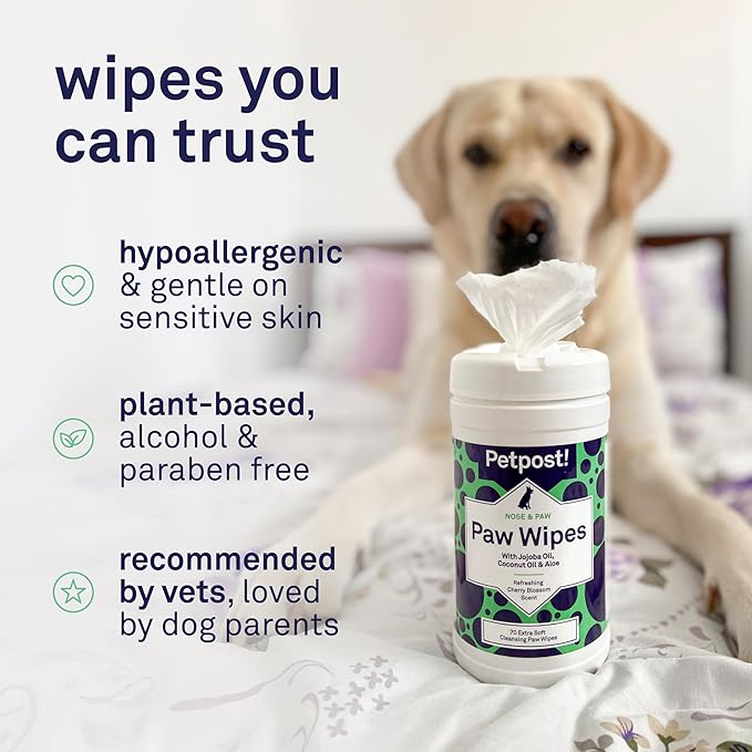 Petpost Large Paw Wipes for Dogs | 70 Count Dog Paw Cleaner Wipes with Coconut Oil, Jojoba Oil & Aloe | Gentle Pet Wipes for Paws | Ultra Soft Cotton Pads, Cherry Blossom Scent