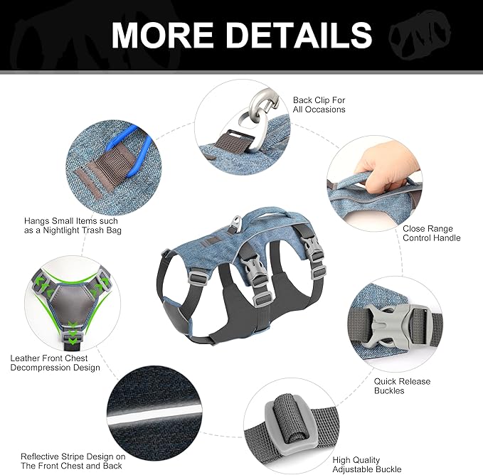 Escape Proof Dog Harness with Handle - Reflective No Pull Dog Vest, Lightweight Full Body Pet Harness Adjustable for Small Dogs Walking,Training(Blue,Chest:14-22")