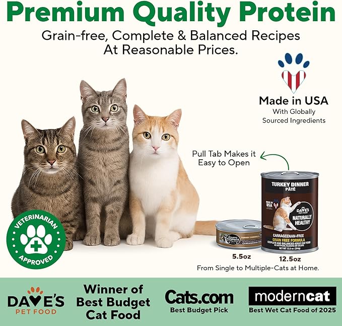 Dave's Pet Food Grain Free Wet Cat Food Pate (Turkey), Made in USA Naturally Healthy Canned, Added Vitamins & Minerals, Carrageenan-Free, 5.5 oz Cans (24 Pack)