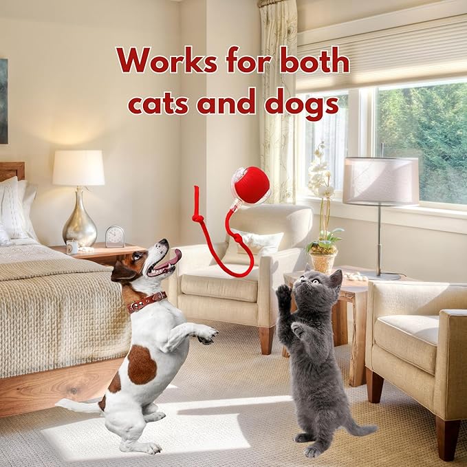 Speedy Tail 2.0 Cat Toy, 360°Automatic Rolling Ball, Smart Interactive Cat Toy, Smart Jumping Ball for Dogs, Speedy Tail 3.0, Automatic Dog Walker (Red)