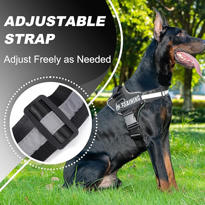 Essential Dog Harness with 3 Leash Clips - No-Pull, Adjustable, Comfortable Pet Vest Harness for Small to Large Dogs - Easy On, No Choke, Reflective, Padded Harness for Walking and Training