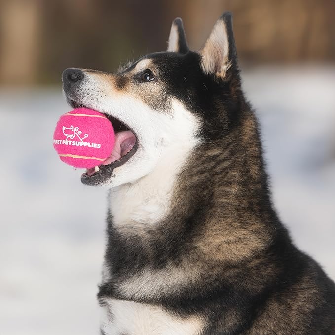 Best Pet Supplies Interactive Squeaky Dog Chew Toy, Ideal Dog Toys for Chewers, Small, Medium & Large Dogs, and Fetch Lovers - Tennis (Assorted Color), Medium (Pack of 8)