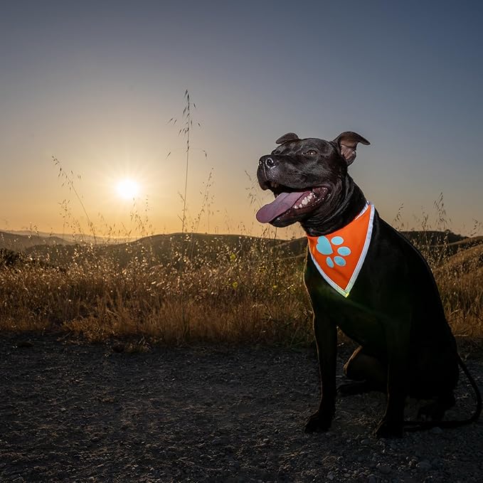 Bandana for Dogs. Blaze Orange Dog Scarf with Reflective Elements is a Perfect Pet Bandana Collar for Girl and Boy Dogs. Enhance Your Dog Walking Accessories with Our High-Visibility Handkerchief