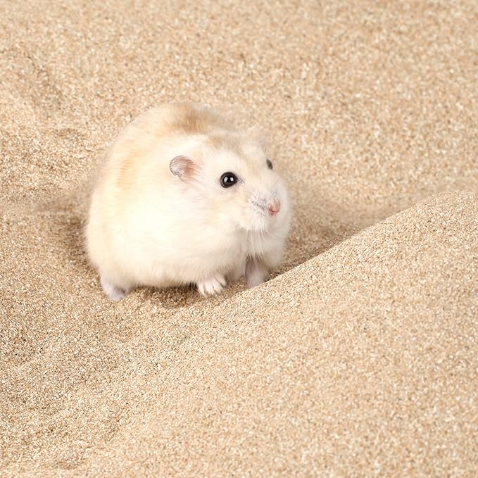 BUCATSTATE Hamster Sand, No-Dust 3.3LB Chinchilla Dust Bath with Pour Spout, 100% Natural Desert Bathing Sand for Syrian Hamster Gerbil Rat Mice Small Animals (Fine Sand)