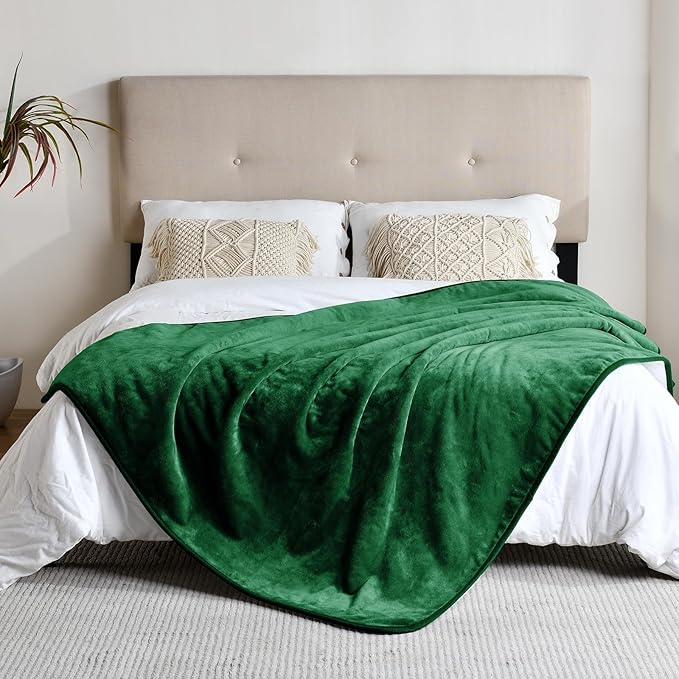 Waterproof Blanket for Bed Couch Sofa, Soft Liquid Pee Proof Pet Blanket for Dog Puppy Cat, Reversible Sherpa Fleece Furniture Protector (Green, 50x60 inches)