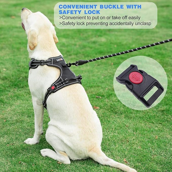 No Pull Dog Harness Adjustable Reflective Oxford Easy Control Medium Large Dog Harness with A Free Heavy Duty 5ft Dog Leash (XL (Neck: 21.5"-33", Chest: 30"-39.5"), Purple Harness+Leash)