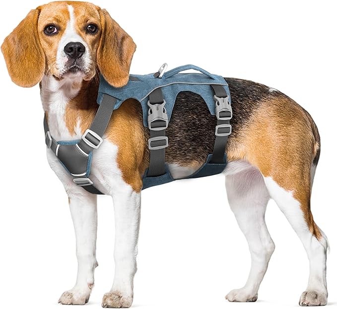 Escape Proof Dog Harness Medium Sized Dog, Reflective No Pull Dog Vest with Handle, Lightweight Full Body Pet Harness Adjustable for Walking,Training(Blue,Chest:17-32")